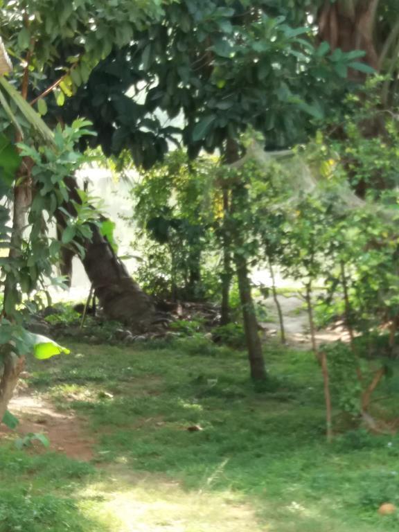 Ishitha Homestay Tangalle Kültér fotó