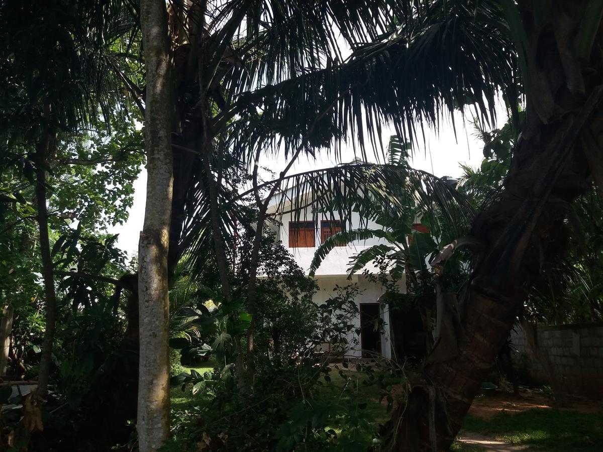 Ishitha Homestay Tangalle Kültér fotó
