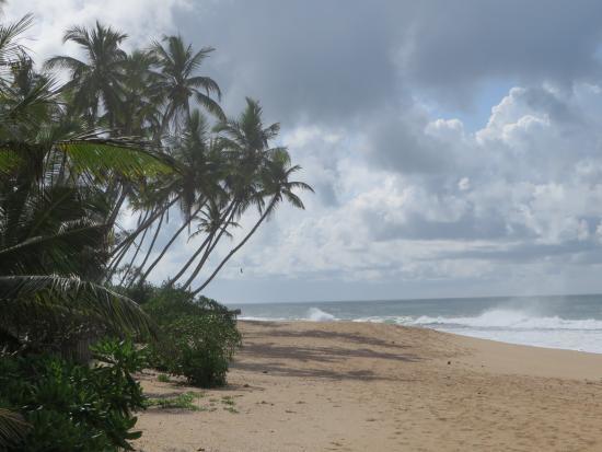 Ishitha Homestay Tangalle Kültér fotó