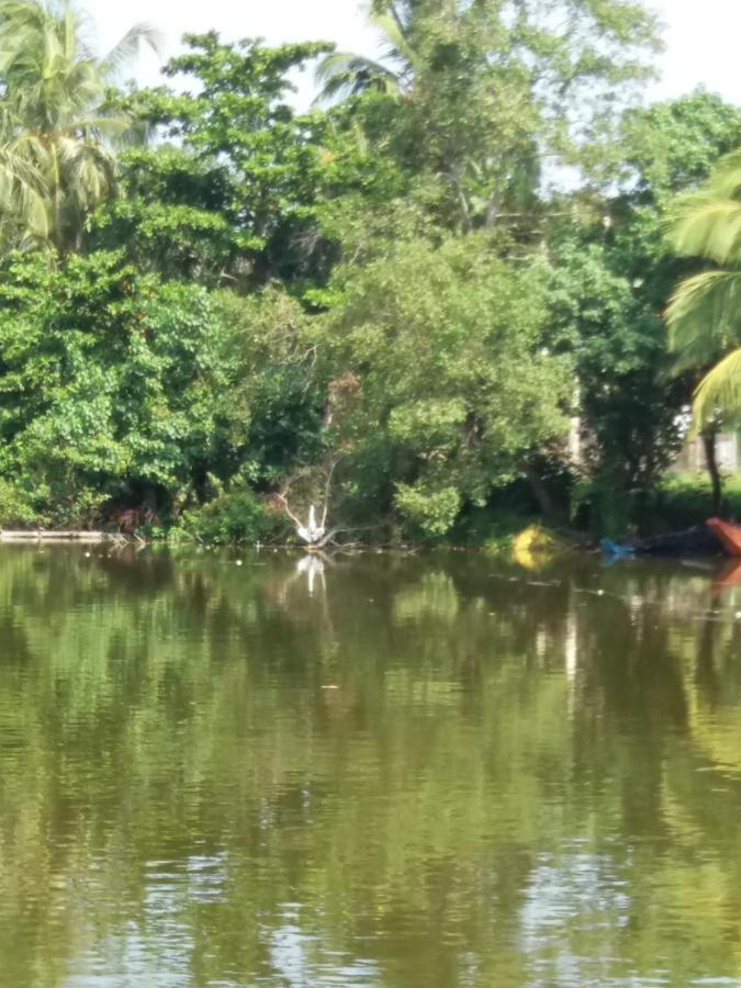 Ishitha Homestay Tangalle Kültér fotó